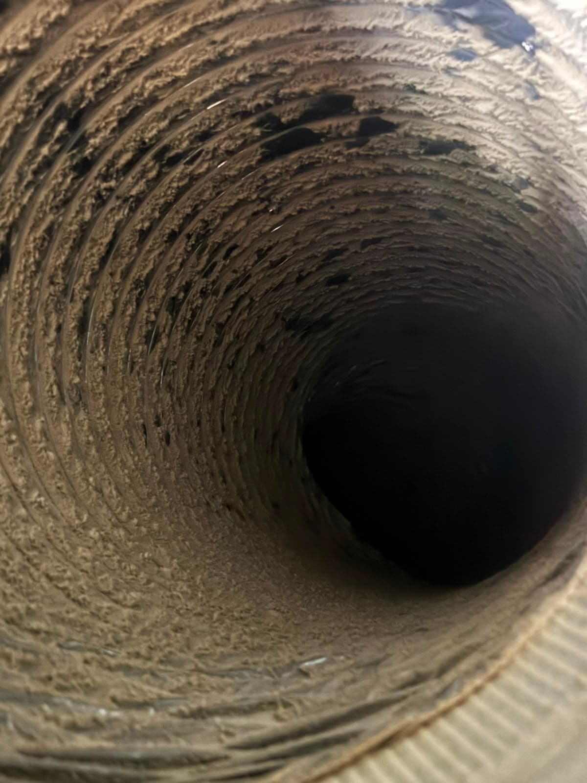 Inside a spiral-ribbed flexible duct heavily coated with a thick layer of dust and lint.