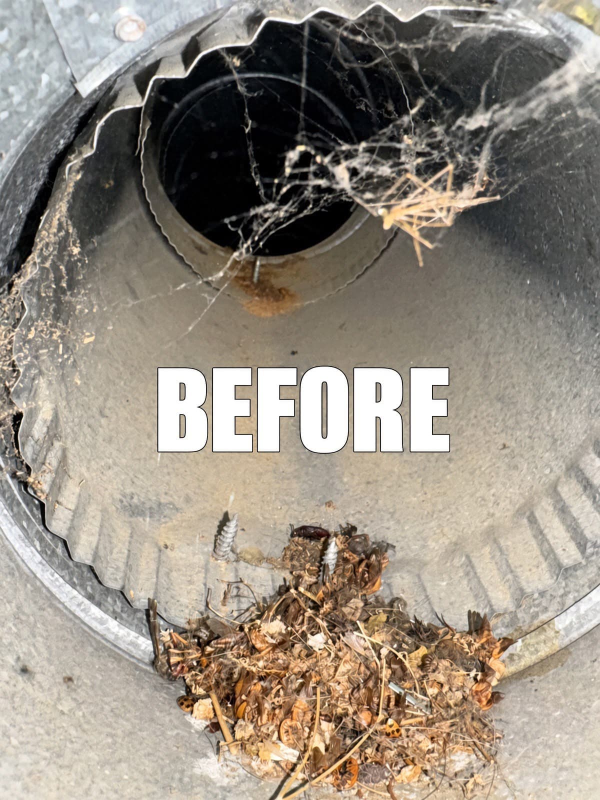 Interior of a dirty metal air duct filled with cobwebs and dead insect debris.