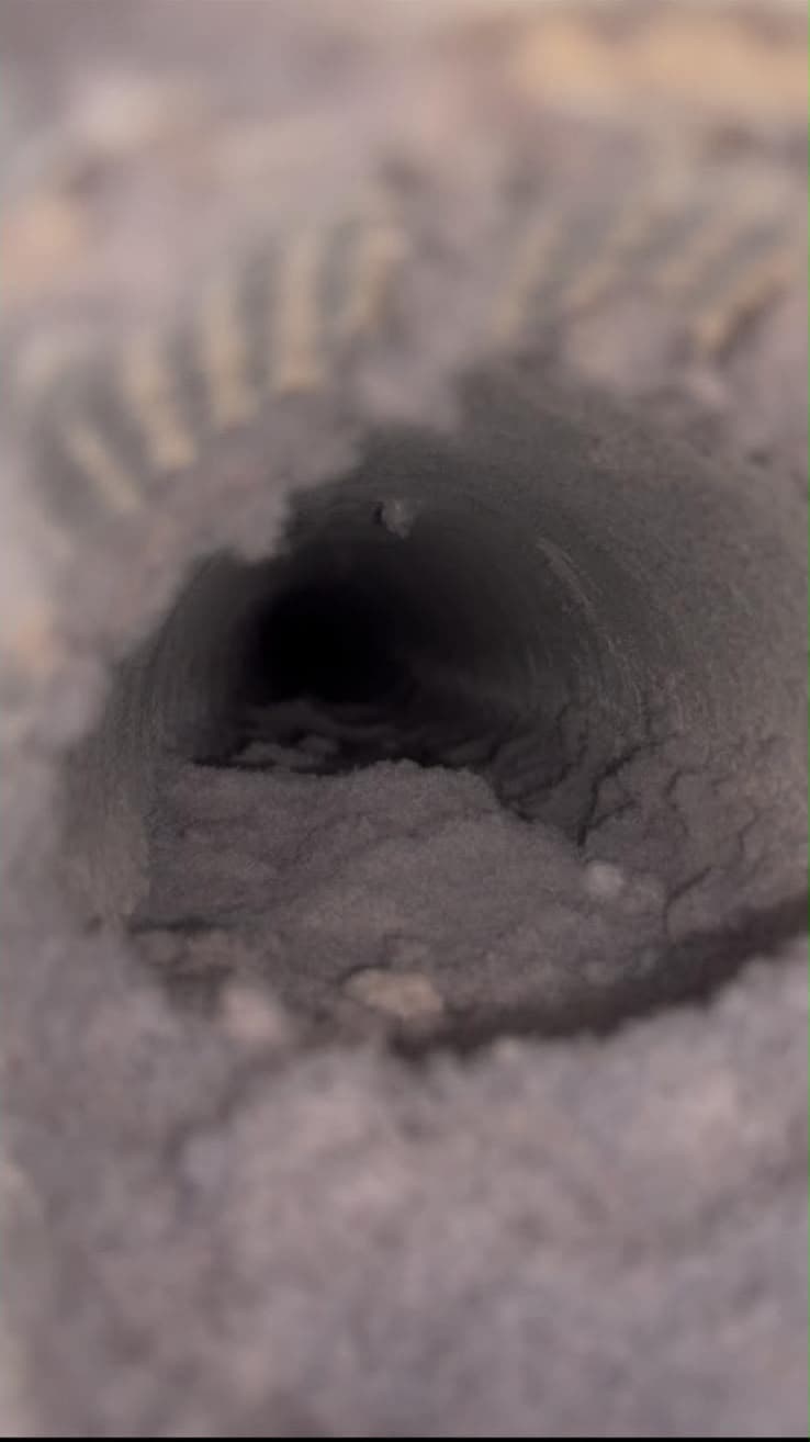 Close-up view into a small, dark hole leading deep into the dry, sandy ground.