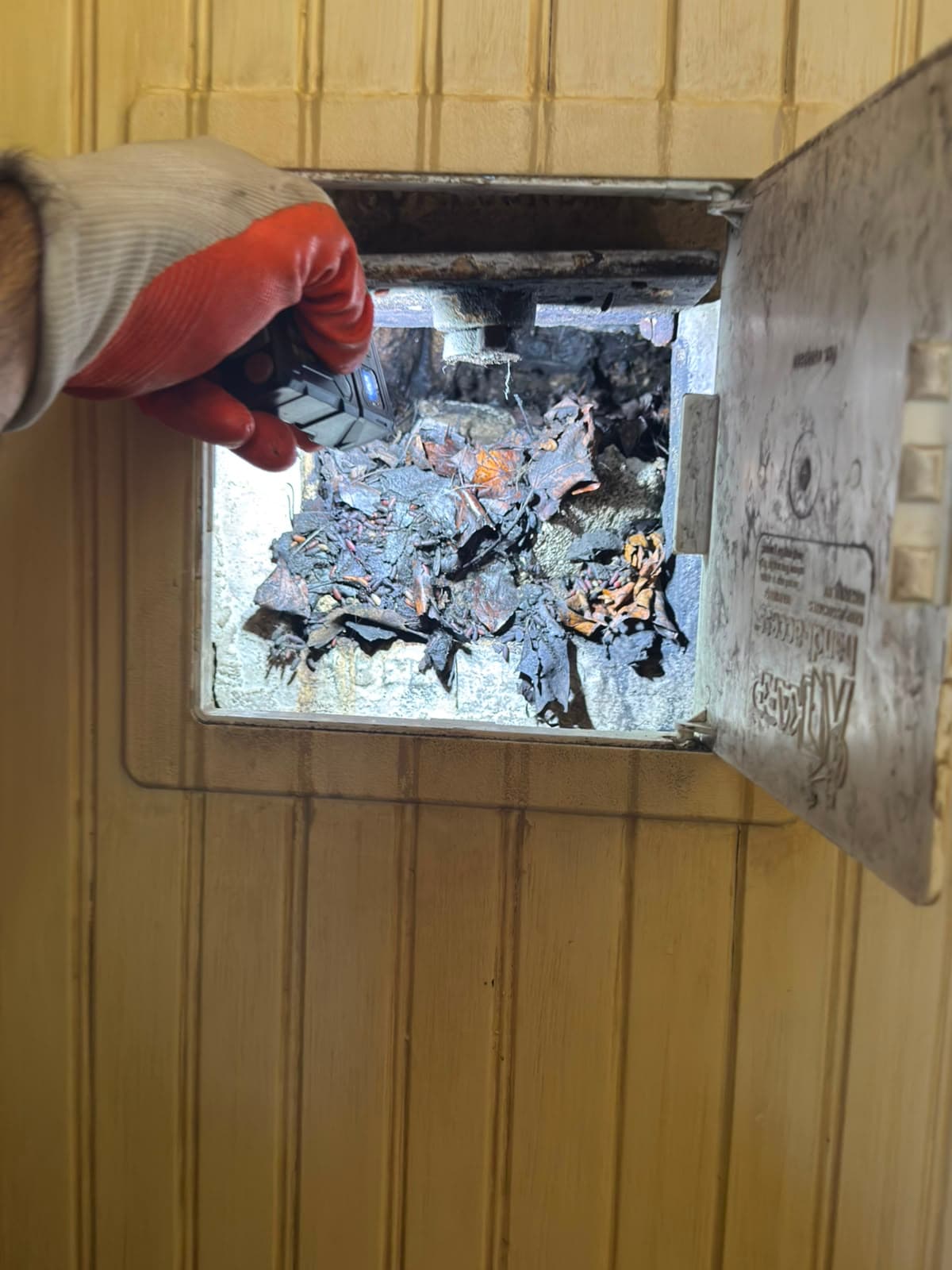Gloved hand shines a flashlight into a wall access panel filled with wet, dark leaves.